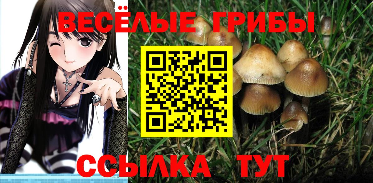 Галлюциногенные грибы Psilocybine cubensis  Вход с VPN  Псилоцибиновые грибы мухоморы  Углич 